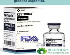 ʲô��PD-1��PD-1�����Ʒ�Ч����Σ�