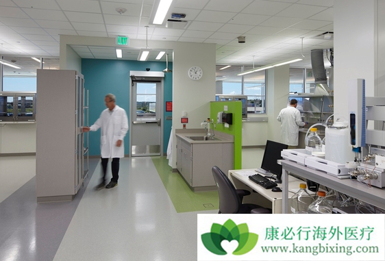 ҽ������