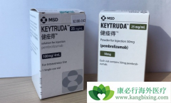 PD-1��ҩ����ʲô��������ν��PD-1��ҩ