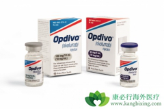 PD-1(Opdivo)��PD-1(Keytruda)��ʲô����