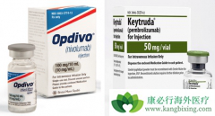 PD-1/PD-L1�и�������?PD-1/PD-L1����ҽԺ����?