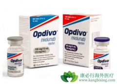 PD-1���Ƽ���Ҫ����ʲô������PD-1���Ƽ���Ч��Σ�