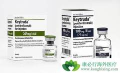 PD-1�ĸ����������뻯�ƽ�Ȼ��ͬ