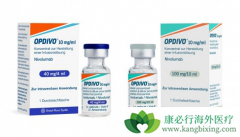 PD-1���Ƽ�Opdivoʲôʱ�����У�PD-1���Ƽ�Opdivo���Ʒΰ���ô����