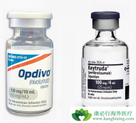 PD-1����Opdivo���й�������ʱ�䣿PD-1���Ƽ�Opdivo��������