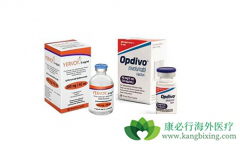 ��ôԤ��PD-1���Ƽ�������Ч������Щ����ʹ��PD-1������Ч�ã�