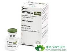 ʲô��PD-1���Ƽ��������ƣ�PD-1���Ƽ��������Ƶ�Ч����ô����