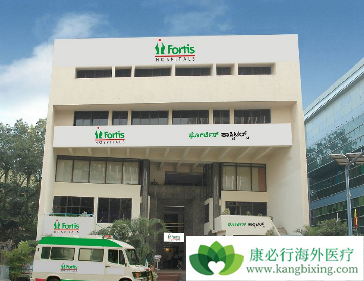 ҽ������