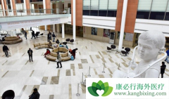 ӡ����η�չ��Ϊ���Լ۱ȵĺ���ҽ������Ŀ�ĵأ�