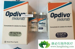 PD-1���Ƽ��ĳ��ָ����఩֢���˺ͼ�����������ϣ��