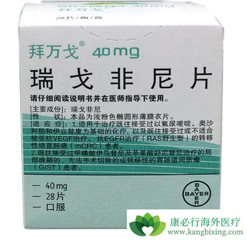 瑞格菲尼说明书 瑞格菲尼说明书