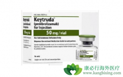 PD-1Ϊ���Ժ�ɫ�����������Ƶ���ϣ��