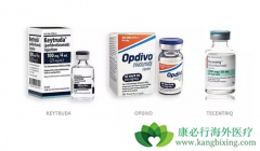 PD-1/PD-L1���Ƽ�չ������Ǳ����ȡ�õľ޴�ɹ�