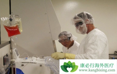 CAR-Tϸ�����Ʒ�����һ�����͵İ�֢���Ʒ���