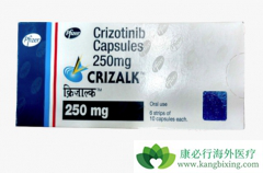 ���������Ƿ��ܸ��Ʒΰ����ߵ�����״̬