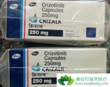 ����������ɱ�����������Ŵ�ȱ�ݵ����ٰ�ϸ��