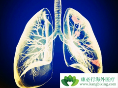 �ΰ���ת�Ʒ������ϰ�������ɴ����߻���������