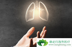 �ΰ���������ô����������ЧԤ���ΰ�������