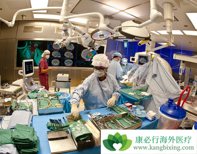 ҽ������