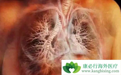 ���ڷΰ����������Ʒ�������Щ��