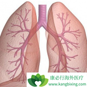 PD-1���Ƽ�+X����Ʒ��Է�Сϸ���ΰ�����Ч������