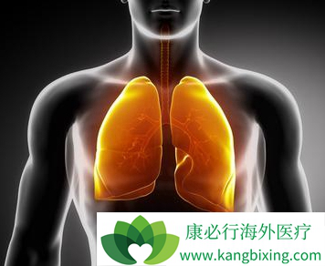 治疗肺癌 治疗肺癌