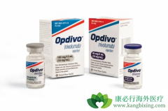 ʹ��PD-1����Opdivo���ƿ���ʹθ�����߻�ĸ���