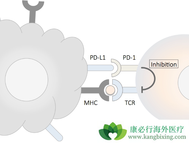 PD-1