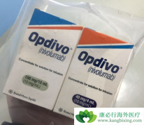 һЩ��Ϊ������������ʹ��PD-1���Ƽ�������