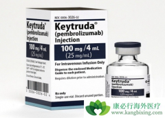 PD-1����Keytruda���ϻ��ƻ������Ʒ��۰�Ч�����ڵ�����