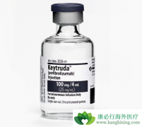 ��ķ��������PD-L1���Թ㷺��Сϸ���ΰ�Ч����ô����