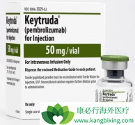 ת���Ժ�ɫ��������ͣ����ķ������pembrolizumab�����ܻ�����