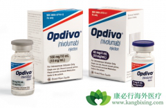 PD-1���Ƽ����䵥����nivolumab�������������ڸ�ϸ������