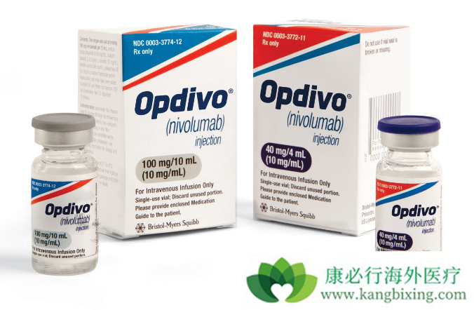 nivolumab nivolumab