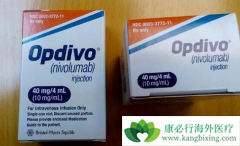 PD-1���Ƽ����䵥�����ƿ��г���NSCLC�ɻ�������Ĳ���ѧ����