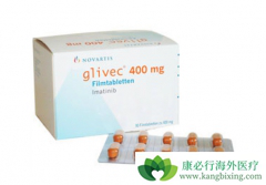 ӡ�ȸ��������������ᣩ������������ϸ����Ѫ���İ���ҩ��