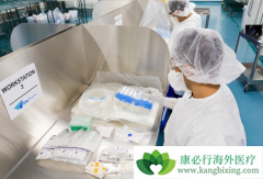 CAR-Tϸ�����Ʒ���ʲôʱ�������ڣ�������CAR-Tϸ���Ʒ���