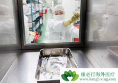 CAR-Tϸ�����ƵĲ��裿CAR-Tϸ�����Ʒ��������̣�