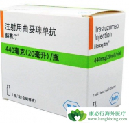 ����HER2�������ٰ���ע���������鵥��������ҽ��