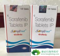 �༪�����������ᣩ���������Ƹΰ�Ψһѡ��