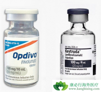 PD-1���Ƽ�Opdivo���Ʒΰ�Ч����ô����Opdivo�����Ʒ���ô����