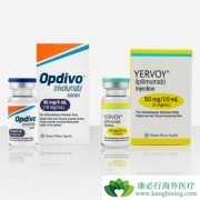 PD-1���Ƽ��������Ƶķ�չ��ʷ��ʲô���ģ�PD-1����������ô����