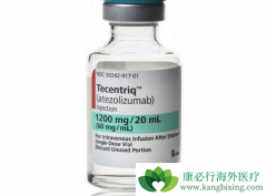 Ŀǰ�Ѿ������˼���PD-1���Ƽ���PD-1���Ƽ���ؽ���