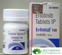 ���޿�����ڰ�ο�����������Ƹ�����NSCLC���ߵ���������