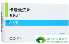 ����������HER2�������ٰ����߸���������ѡ��