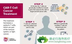 CAR-Tϸ�����Ʒ�����Ҫ�˷�ϸ�����ӷ籩�ķ���