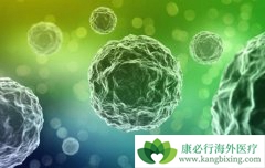 ����ҽ�Ƶ�ϸ����ֲ�������Ϊ��֢������ϣ��