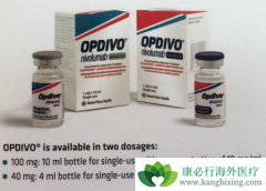 PD-1���Ƽ�Ŀǰ�Ѿ��𽥳�Ϊ��֢����ѡ���Ʒ���