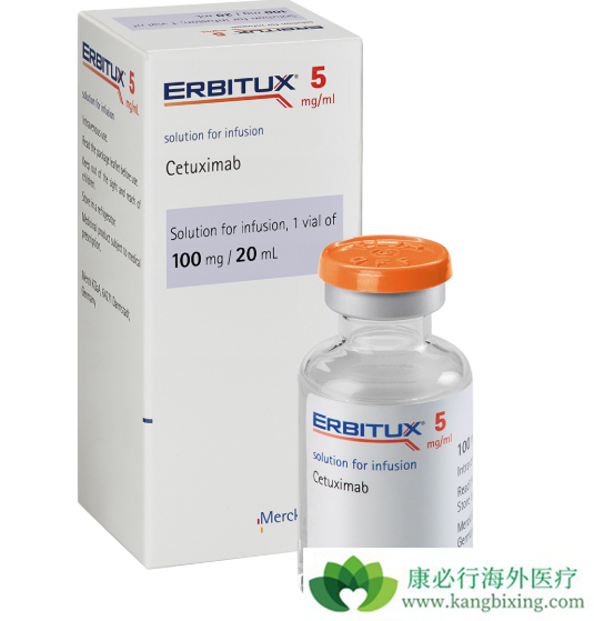 西妥昔单抗 西妥昔单抗