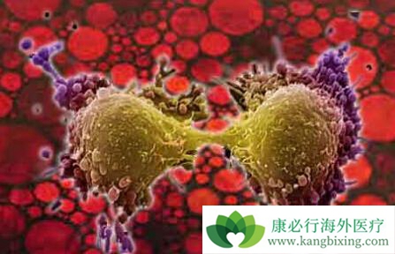 ����ҽ��